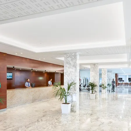 ベスト テネリフェ