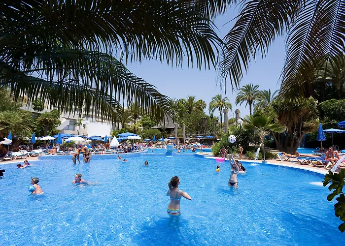 ベスト テネリフェ